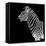 Safari Profile Collection - Zebra Black Edition II-Philippe Hugonnard-Framed Stretched Canvas