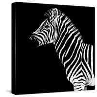 Safari Profile Collection - Zebra Black Edition II-Philippe Hugonnard-Stretched Canvas