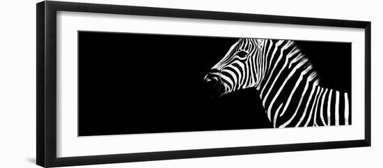 Safari Profile Collection - Zebra Black Edition IV-Philippe Hugonnard-Framed Photographic Print