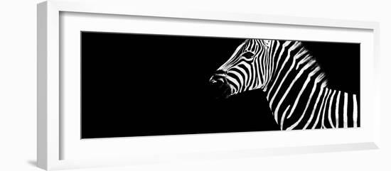 Safari Profile Collection - Zebra Black Edition IV-Philippe Hugonnard-Framed Photographic Print