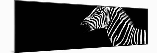 Safari Profile Collection - Zebra Black Edition IV-Philippe Hugonnard-Mounted Photographic Print