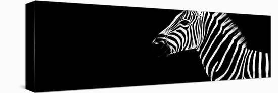 Safari Profile Collection - Zebra Black Edition IV-Philippe Hugonnard-Stretched Canvas