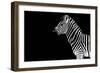 Safari Profile Collection - Zebra Black Edition-Philippe Hugonnard-Framed Photographic Print