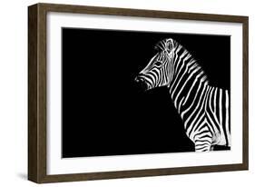 Safari Profile Collection - Zebra Black Edition-Philippe Hugonnard-Framed Photographic Print