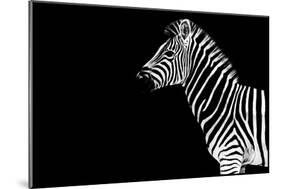 Safari Profile Collection - Zebra Black Edition-Philippe Hugonnard-Mounted Photographic Print