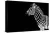 Safari Profile Collection - Zebra Black Edition-Philippe Hugonnard-Stretched Canvas