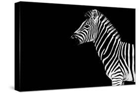 Safari Profile Collection - Zebra Black Edition-Philippe Hugonnard-Stretched Canvas