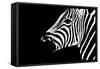 Safari Profile Collection - Zebra Portrait Black Edition II-Philippe Hugonnard-Framed Stretched Canvas