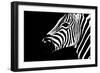 Safari Profile Collection - Zebra Portrait Black Edition II-Philippe Hugonnard-Framed Photographic Print