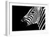 Safari Profile Collection - Zebra Portrait Black Edition II-Philippe Hugonnard-Framed Photographic Print