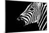 Safari Profile Collection - Zebra Portrait Black Edition II-Philippe Hugonnard-Mounted Photographic Print