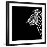 Safari Profile Collection - Zebra Portrait Black Edition III-Philippe Hugonnard-Framed Photographic Print