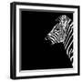 Safari Profile Collection - Zebra Portrait Black Edition III-Philippe Hugonnard-Framed Photographic Print