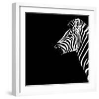 Safari Profile Collection - Zebra Portrait Black Edition III-Philippe Hugonnard-Framed Photographic Print