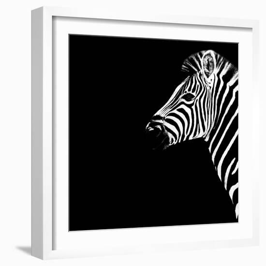 Safari Profile Collection - Zebra Portrait Black Edition III-Philippe Hugonnard-Framed Photographic Print