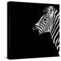 Safari Profile Collection - Zebra Portrait Black Edition III-Philippe Hugonnard-Stretched Canvas