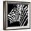 Safari Profile Collection - Zebra Portrait Black Edition-Philippe Hugonnard-Framed Photographic Print