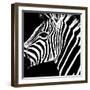 Safari Profile Collection - Zebra Portrait Black Edition-Philippe Hugonnard-Framed Photographic Print