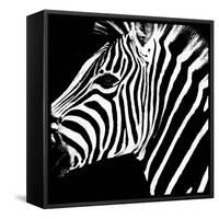 Safari Profile Collection - Zebra Portrait Black Edition-Philippe Hugonnard-Framed Stretched Canvas