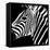 Safari Profile Collection - Zebra Portrait Black Edition-Philippe Hugonnard-Framed Stretched Canvas