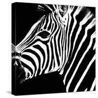 Safari Profile Collection - Zebra Portrait Black Edition-Philippe Hugonnard-Stretched Canvas