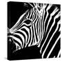 Safari Profile Collection - Zebra Portrait Black Edition-Philippe Hugonnard-Stretched Canvas