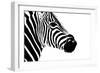 Safari Profile Collection - Zebra Portrait White Edition II-Philippe Hugonnard-Framed Photographic Print