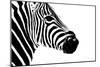 Safari Profile Collection - Zebra Portrait White Edition II-Philippe Hugonnard-Mounted Photographic Print