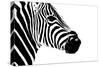 Safari Profile Collection - Zebra Portrait White Edition II-Philippe Hugonnard-Stretched Canvas