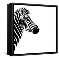 Safari Profile Collection - Zebra Portrait White Edition III-Philippe Hugonnard-Framed Stretched Canvas