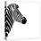 Safari Profile Collection - Zebra Portrait White Edition III-Philippe Hugonnard-Stretched Canvas