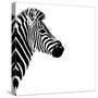 Safari Profile Collection - Zebra Portrait White Edition III-Philippe Hugonnard-Stretched Canvas
