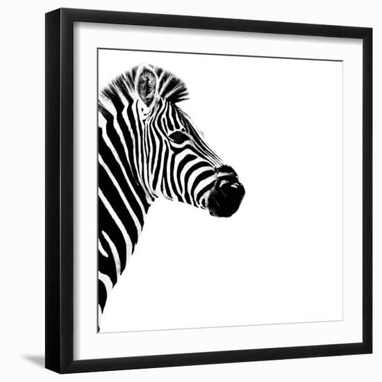 Safari Profile Collection - Zebra Portrait White Edition III-Philippe Hugonnard-Framed Photographic Print