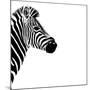 Safari Profile Collection - Zebra Portrait White Edition III-Philippe Hugonnard-Mounted Photographic Print