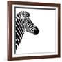 Safari Profile Collection - Zebra Portrait White Edition III-Philippe Hugonnard-Framed Photographic Print