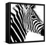 Safari Profile Collection - Zebra Portrait White Edition-Philippe Hugonnard-Framed Stretched Canvas