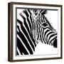 Safari Profile Collection - Zebra Portrait White Edition-Philippe Hugonnard-Framed Photographic Print