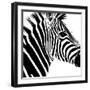 Safari Profile Collection - Zebra Portrait White Edition-Philippe Hugonnard-Framed Photographic Print