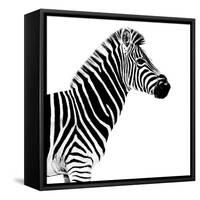 Safari Profile Collection - Zebra White Edition II-Philippe Hugonnard-Framed Stretched Canvas