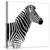 Safari Profile Collection - Zebra White Edition II-Philippe Hugonnard-Stretched Canvas