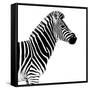 Safari Profile Collection - Zebra White Edition II-Philippe Hugonnard-Framed Stretched Canvas