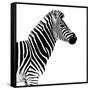 Safari Profile Collection - Zebra White Edition II-Philippe Hugonnard-Framed Stretched Canvas