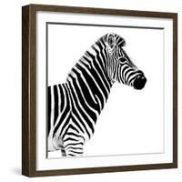 Safari Profile Collection - Zebra White Edition II-Philippe Hugonnard-Framed Photographic Print