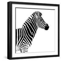 Safari Profile Collection - Zebra White Edition II-Philippe Hugonnard-Framed Photographic Print