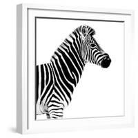 Safari Profile Collection - Zebra White Edition II-Philippe Hugonnard-Framed Photographic Print