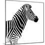 Safari Profile Collection - Zebra White Edition II-Philippe Hugonnard-Mounted Photographic Print