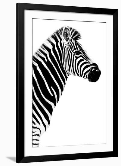 Safari Profile Collection - Zebra White Edition III-Philippe Hugonnard-Framed Premium Photographic Print