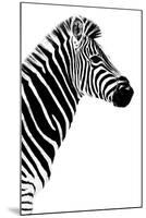 Safari Profile Collection - Zebra White Edition III-Philippe Hugonnard-Mounted Premium Photographic Print