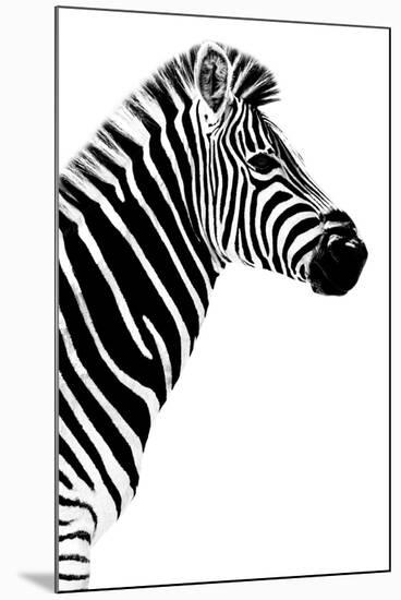 Safari Profile Collection - Zebra White Edition III-Philippe Hugonnard-Mounted Premium Photographic Print