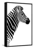 Safari Profile Collection - Zebra White Edition III-Philippe Hugonnard-Framed Stretched Canvas